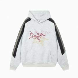 Picture of Arcteryx Hoodies _SKUArcteryxM-4XL11Lr23624